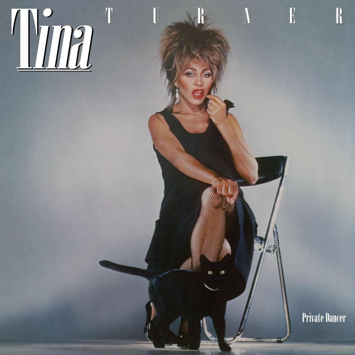 Tina Turner: Private Dancer