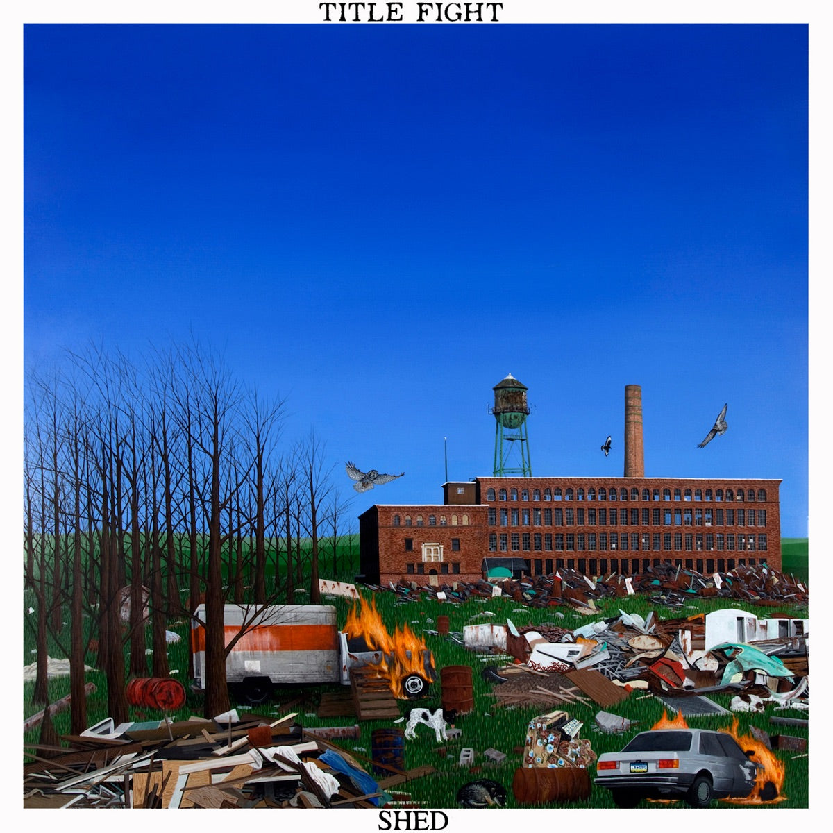 Title Fight: Shed