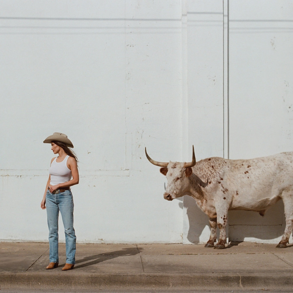 Kacey Musgraves: Middle of Nowhere