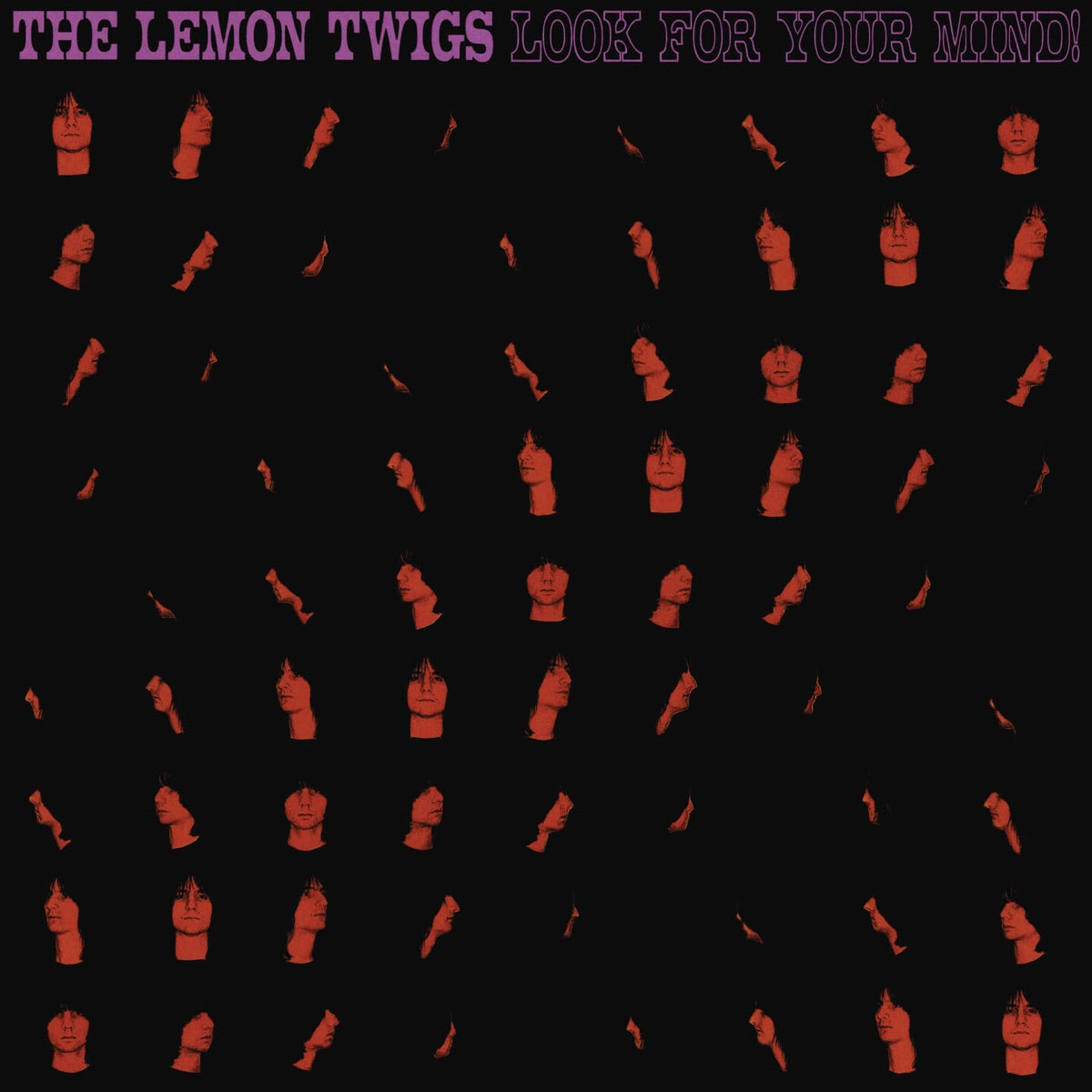 Lemon Twigs: Look For Your Mind
