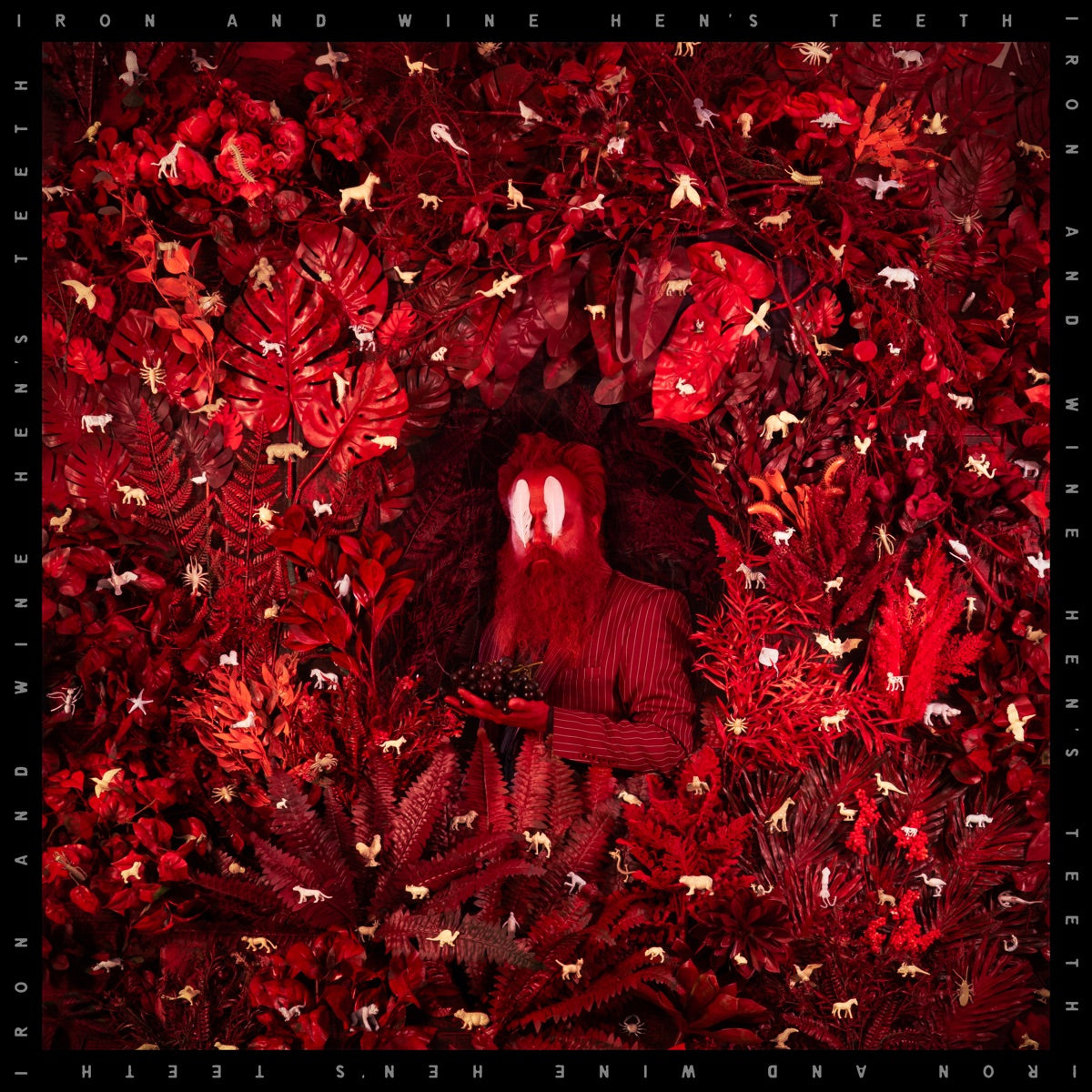 Iron & Wine: Hen's Teeth (color vinyl)