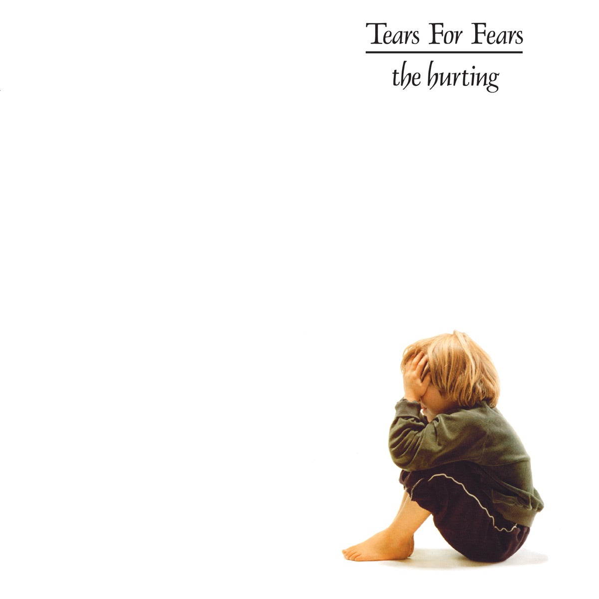 Tears for Fears: The Hurting