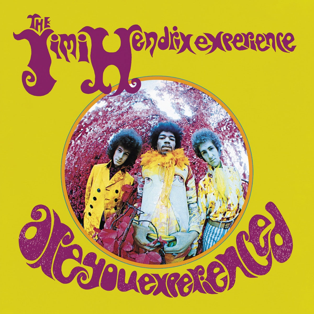 Jimi Hendrix: Are You Experienced