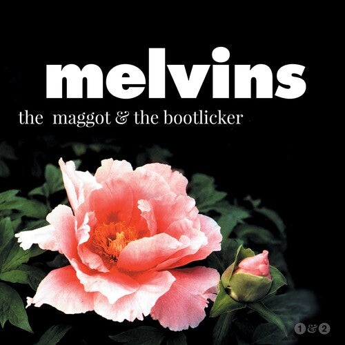 Melvins: Maggot & the Bootlicker