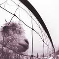 Pearl Jam: VS (30th anniversary)