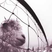 Pearl Jam: VS (30th anniversary)
