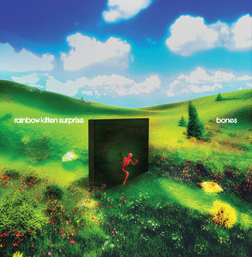 Rainbow Kitten Surprise: Bones (banana vinyl)