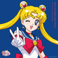 Pretty Guardian Sailor Moon: The 30th Anniversary