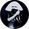 Lady Gaga: The Fame Monster (picture disc)